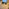 Website 3